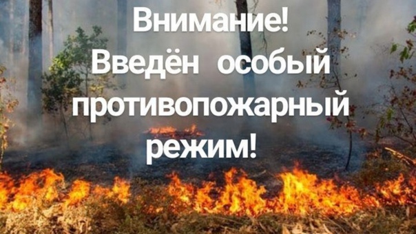 Администрация Большереченского муниципального района информирует.